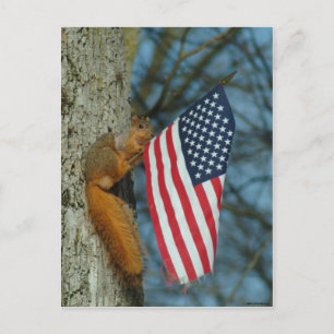 CARTÃO POSTAL 010510-4-APC - ONE PATRIOTIC SQUIRREL