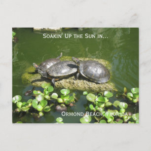 Cartão Postal 03-21-10 246, Ormond Beach, Florida, Soakin' Up...