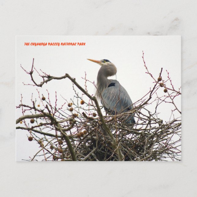 CARTÃO POSTAL 040111-70-APC (Frente)