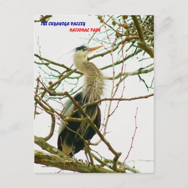 CARTÃO POSTAL 04011-145-APS (Frente)