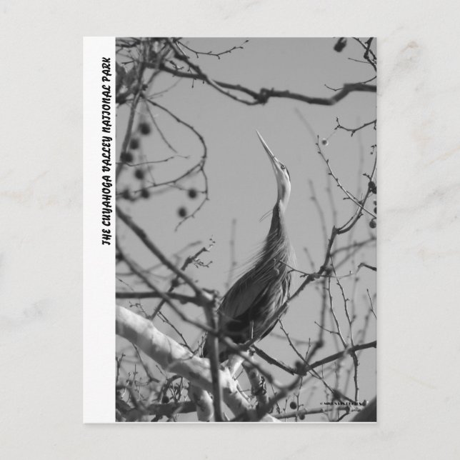 CARTÃO POSTAL 040510-9-APC (Frente)