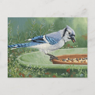 Cartão Postal 0481 Blue Jay no Cartão-postal do alimentador
