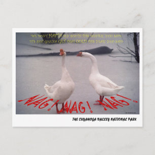 CARTÃO POSTAL 072506-10-APC NAG, NAG, NAG