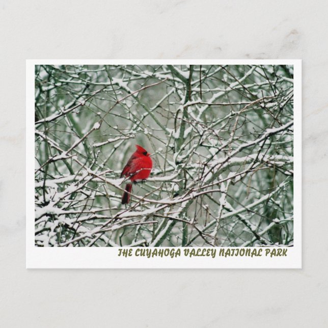 CARTÃO POSTAL 080806-25-APC (Frente)