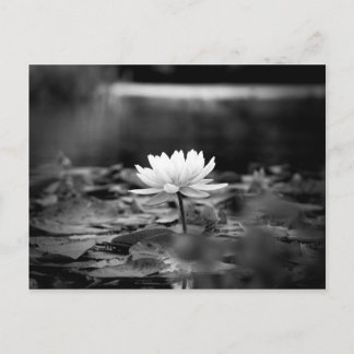 Cartão Postal 085-Série1