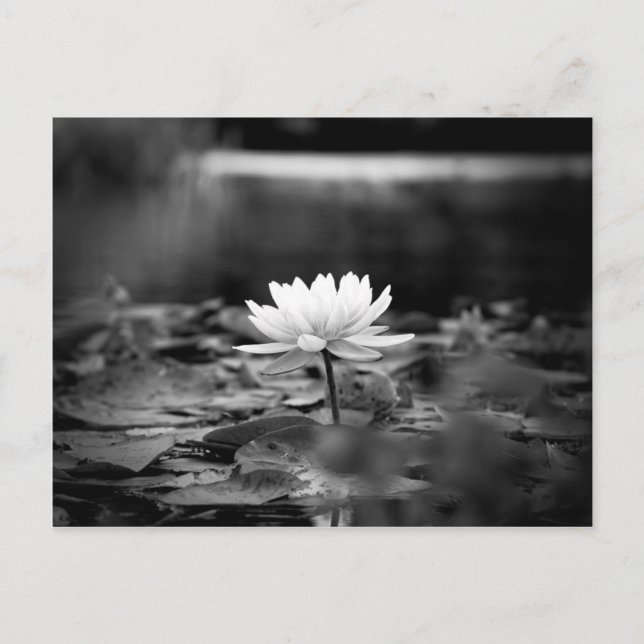 Cartão Postal 085-Série1 (Frente)