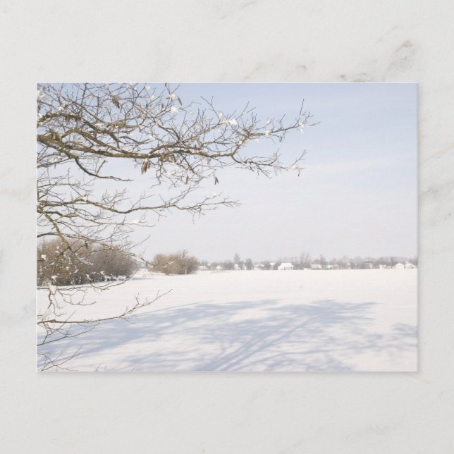 CARTÃO POSTAL 1 (Frente)