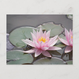 CARTÃO POSTAL 100.0085