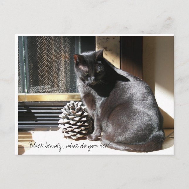 Cartão Postal 100_0305, beleza preta, que você vê? (Frente)