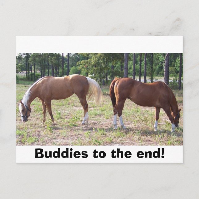 Cartão Postal 100_0350, Amigos até o fim! (Frente)