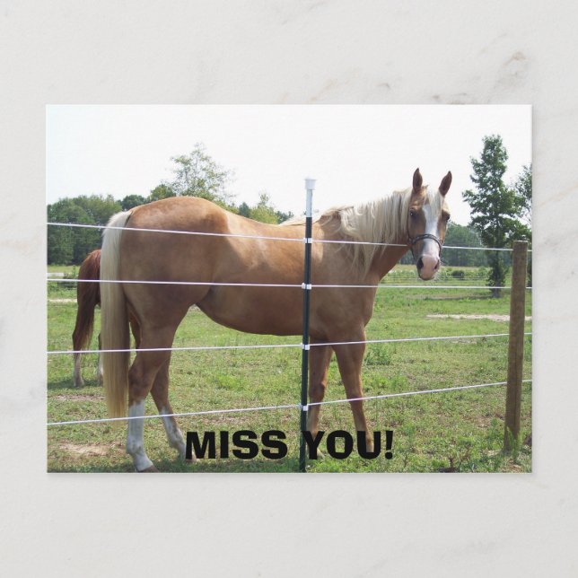 CARTÃO POSTAL 100_0415, SENHORA! (Frente)