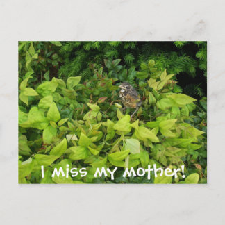 Cartão Postal 100_1805, sinto falta da minha mãe!