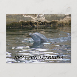 CARTÃO POSTAL 100_8578, CHAVE LARGO FLORIDA