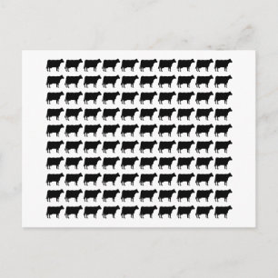 Cartão Postal 100 vacas