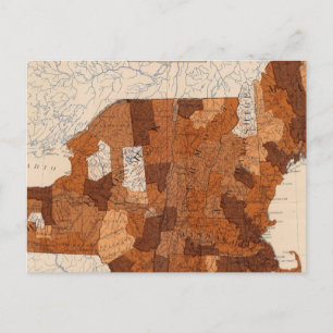 Cartão Postal 101 Consumo NY, NJ, Nova Inglaterra