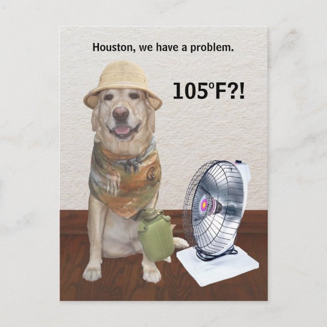 CARTÃO POSTAL 105 F?! (Frente)