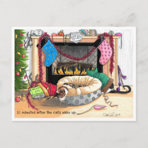 Cartão Postal 10 minutos após o Acordar dos gatos