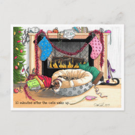Cartão Postal 10 minutos após o Acordar dos gatos