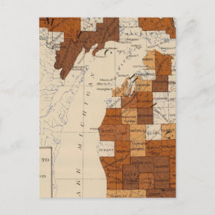 Cartão Postal 110 Febre tifoide Michigan