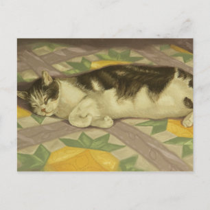 Cartão Postal 1149 Cat on Quilt Postcard