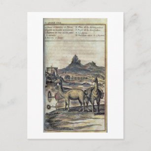 Cartão Postal 137-0627924 Ilustração de uma história do Peru
