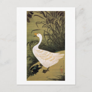Cartão Postal 13. 芦 鵞 図, 若 冲 Reed & Goose, Jakuchu, Japão Art