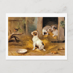 Cartão Postal 13-A Os Filhotes