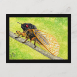 Cartão Postal 13 anos de pintura de Cicada