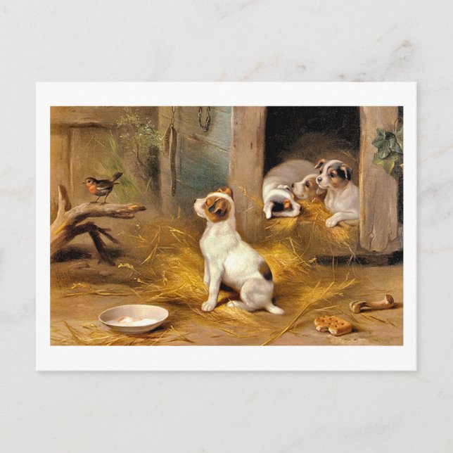 Cartão Postal 13a Os Cachorrinhos (Frente)