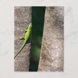 Cartão Postal 15 minutos.JPG