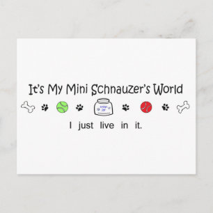 Cartão Postal 15b15miniSchnauzer.jpg