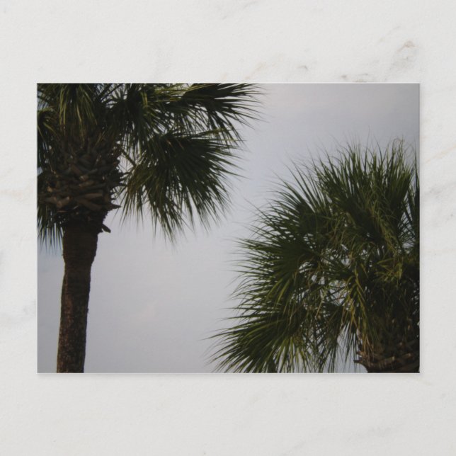 Cartão Postal 160 lpn (Frente)