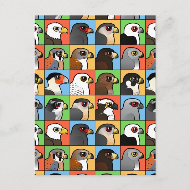 Cartão Postal 16 Perfis de Raptor norte-americanos (em série) (Frente)