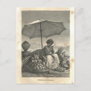 Cartão Postal 1877 Impressão do Rio de Janeiro, Terra e seus po