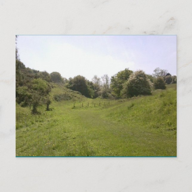 Cartão postal 18 Grassy Valley Track (Frente)
