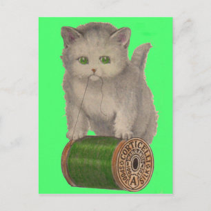 Cartão Postal 1930 Gato branco de Corticelli
