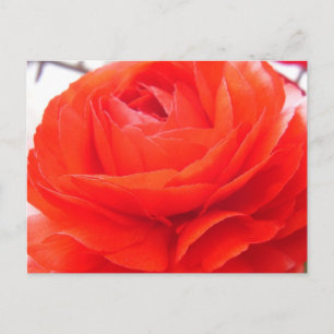 Cartão Postal 1 4 Você