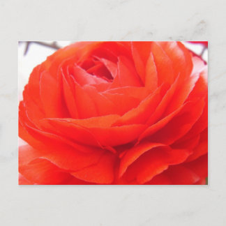 Cartão Postal 1 4 Você