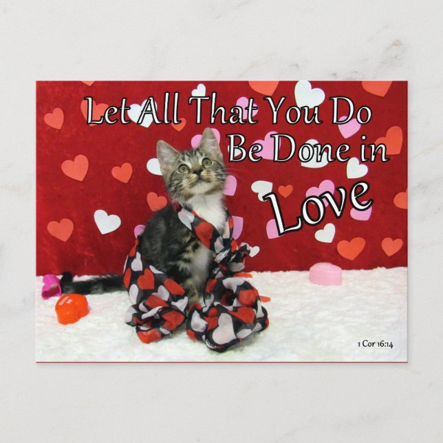 Cartão Postal 1 Cartão-postal Verso de Bíblia 16:14 (Frente)