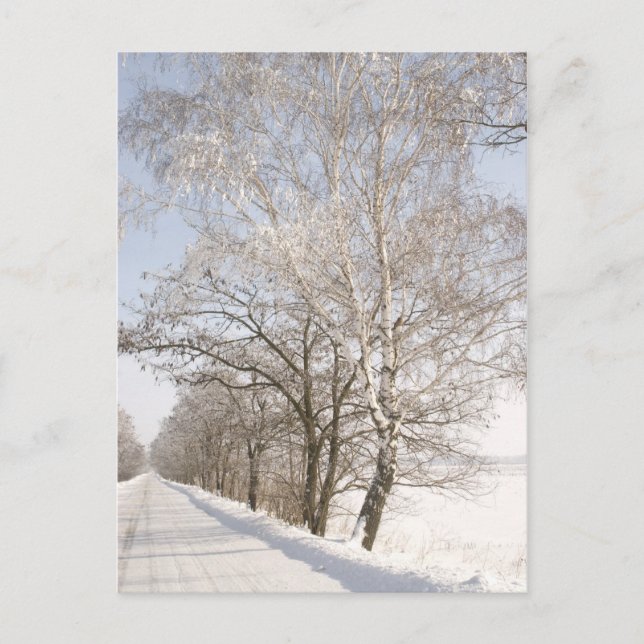 CARTÃO POSTAL 2 (Frente)