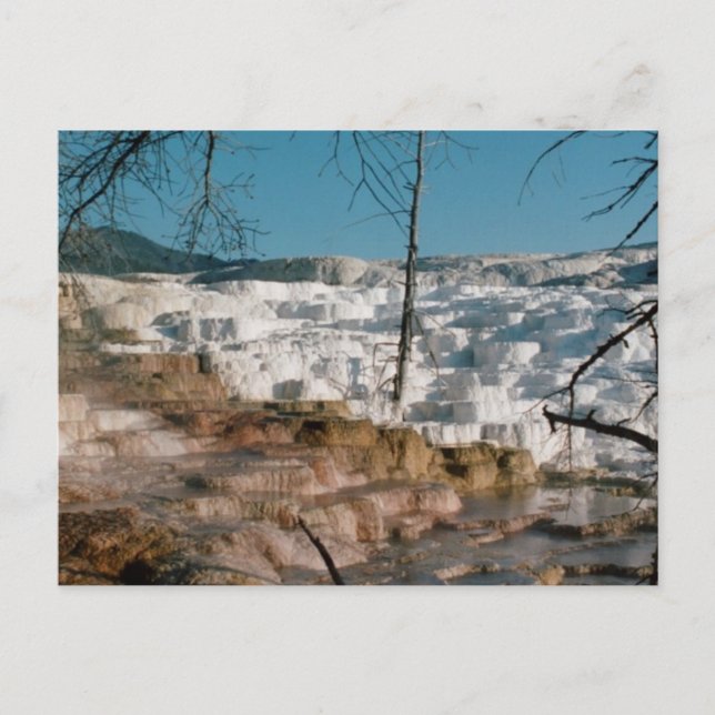 Cartão Postal 2003 - Yellowstone 01 (Frente)