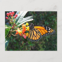 CARTÃO POSTAL 2008_0109_114022