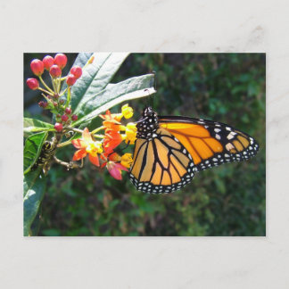 CARTÃO POSTAL 2008_0109_114022