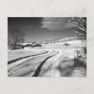 Cartão Postal 2010-01-07_12.25.10 - Fazenda nevada no Fox Hill L