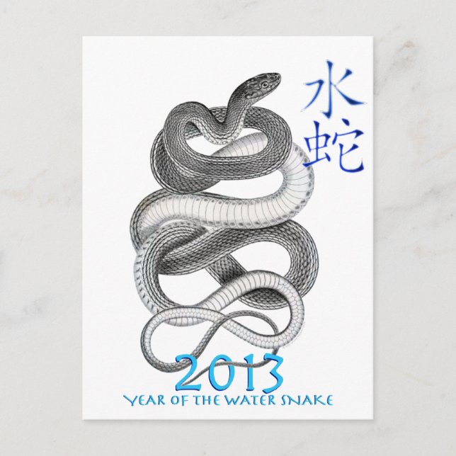 CARTÃO POSTAL 2013 (Frente)