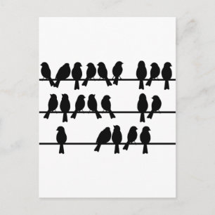 Cartão Postal 21 Aves Num Fio