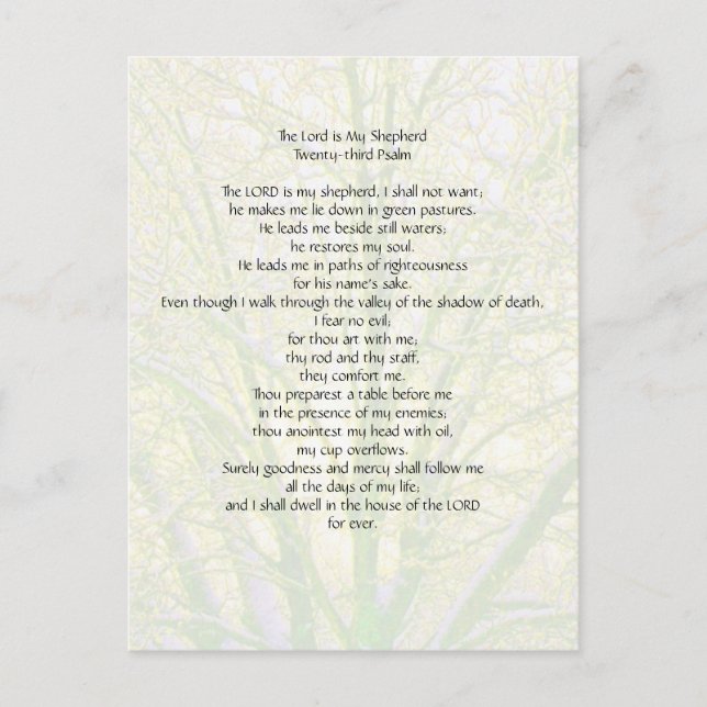 Cartão Postal 23º Salmo... (Frente)
