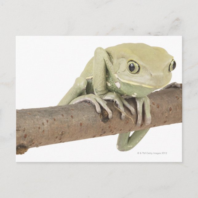 CARTÃO POSTAL 23568119 (Frente)