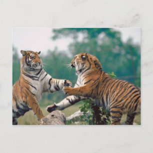 CARTÃO POSTAL 23899157