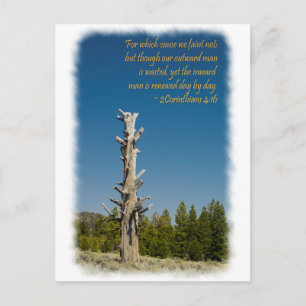 Cartão Postal 2 Corintianos 4:15